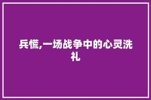 兵慌,一场战争中的心灵洗礼