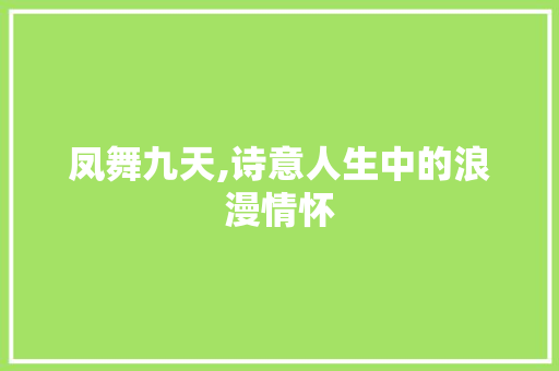 凤舞九天,诗意人生中的浪漫情怀