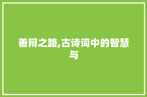 善辩之路,古诗词中的智慧与