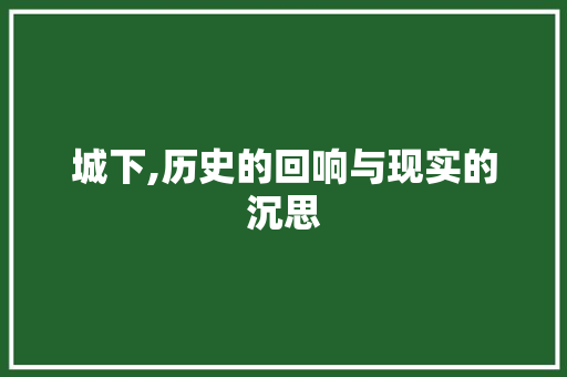 城下,历史的回响与现实的沉思