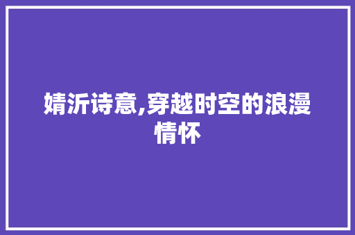 婧沂诗意,穿越时空的浪漫情怀