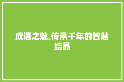成语之魅,传承千年的智慧结晶