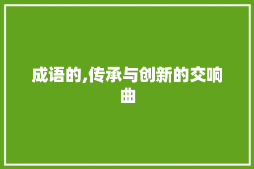 成语的,传承与创新的交响曲
