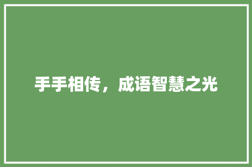 手手相传，成语智慧之光