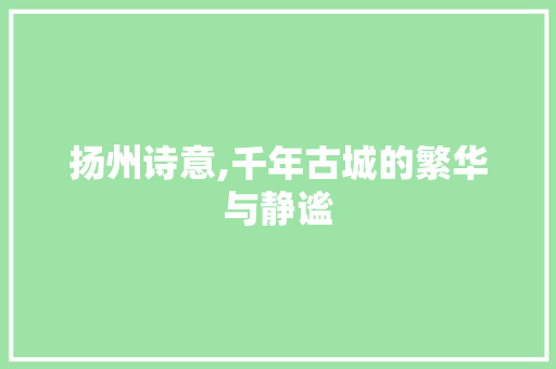 扬州诗意,千年古城的繁华与静谧