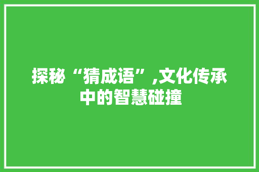 探秘“猜成语”,文化传承中的智慧碰撞