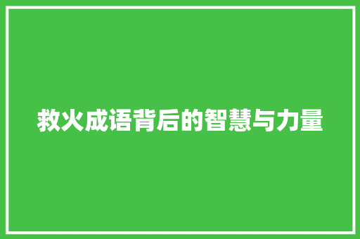 救火成语背后的智慧与力量 短语