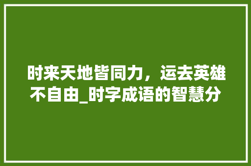 时来天地皆同力，运去英雄不自由_时字成语的智慧分析