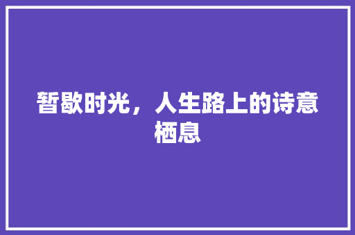 暂歇时光，人生路上的诗意栖息