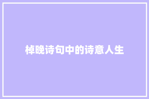 棹晚诗句中的诗意人生
