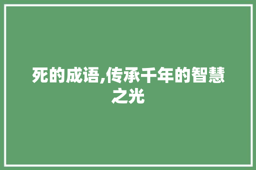 死的成语,传承千年的智慧之光