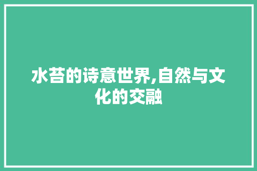 水苔的诗意世界,自然与文化的交融