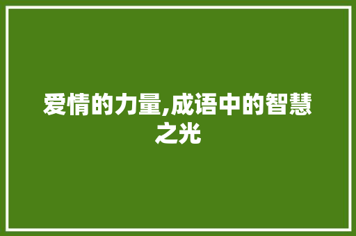 爱情的力量,成语中的智慧之光