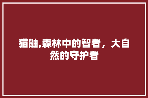猫鼬,森林中的智者，大自然的守护者