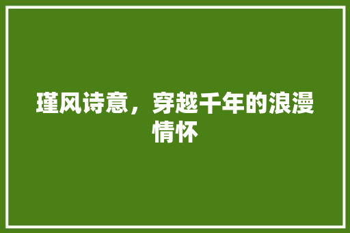 瑾风诗意，穿越千年的浪漫情怀