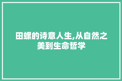 田螺的诗意人生,从自然之美到生命哲学