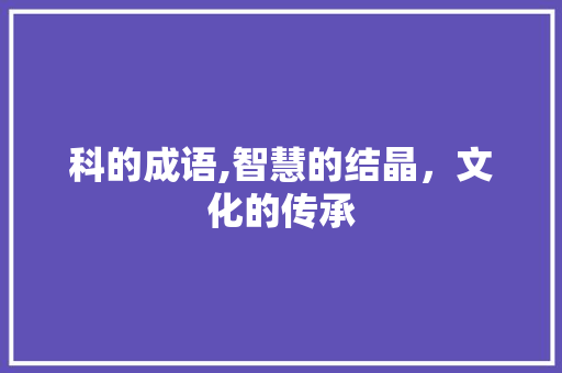 科的成语,智慧的结晶，文化的传承