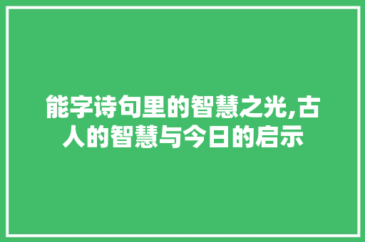 能字诗句里的智慧之光,古人的智慧与今日的启示