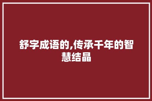 舒字成语的,传承千年的智慧结晶