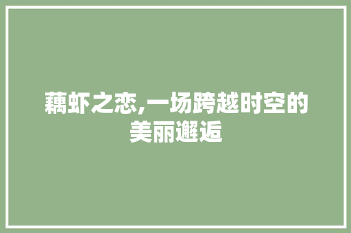 藕虾之恋,一场跨越时空的美丽邂逅 短语
