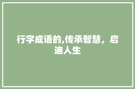 行字成语的,传承智慧，启迪人生