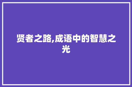 贤者之路,成语中的智慧之光 古代典籍