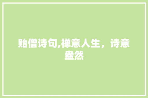 贻僧诗句,禅意人生，诗意盎然