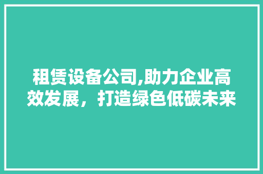 租赁设备公司,助力企业高效发展，打造绿色低碳未来