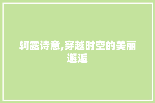 轲露诗意,穿越时空的美丽邂逅