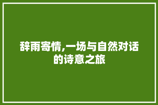 辞雨寄情,一场与自然对话的诗意之旅