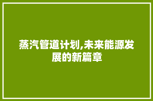 蒸汽管道计划,未来能源发展的新篇章