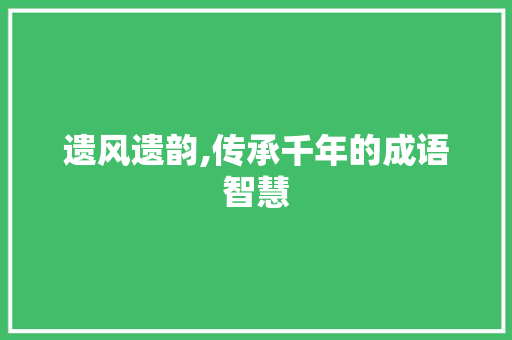 遗风遗韵,传承千年的成语智慧 成语汇编