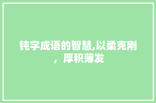 钝字成语的智慧,以柔克刚，厚积薄发
