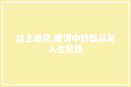 锦上添花,成语中的智慧与人生哲理 近义词汇