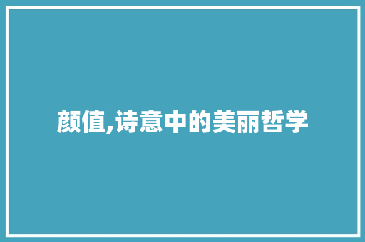 颜值,诗意中的美丽哲学 短语