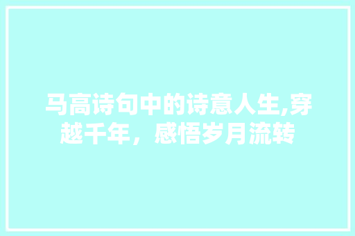 马高诗句中的诗意人生,穿越千年，感悟岁月流转