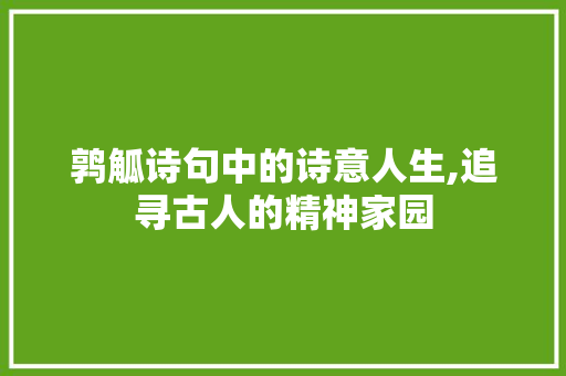 鹑觚诗句中的诗意人生,追寻古人的精神家园