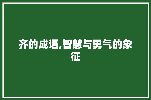 齐的成语,智慧与勇气的象征