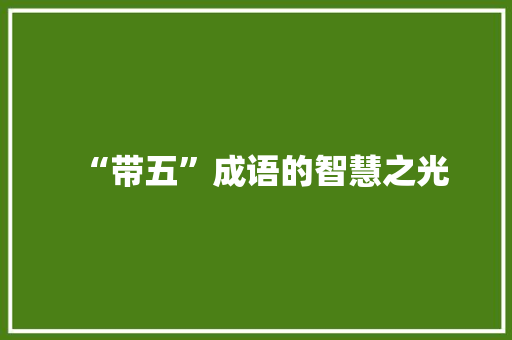 “带五”成语的智慧之光