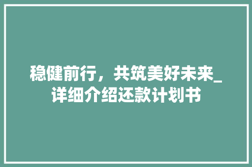 稳健前行，共筑美好未来_详细介绍还款计划书