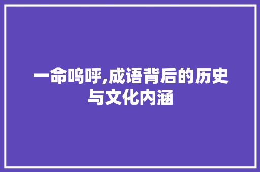 一命呜呼,成语背后的历史与文化内涵 英语单词