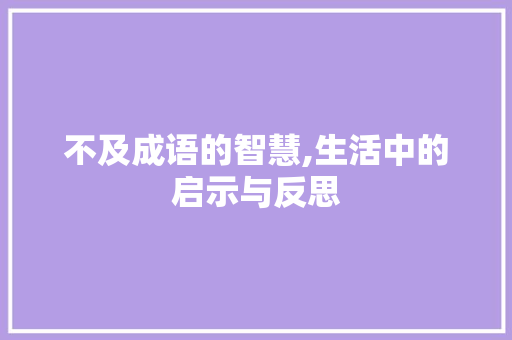 不及成语的智慧,生活中的启示与反思