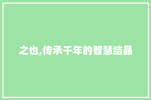 之也,传承千年的智慧结晶