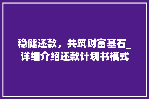 稳健还款，共筑财富基石_详细介绍还款计划书模式