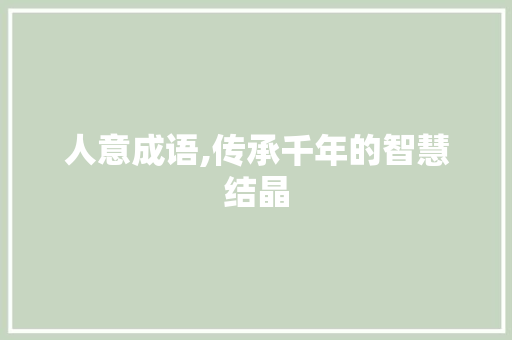 人意成语,传承千年的智慧结晶