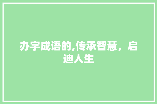 办字成语的,传承智慧，启迪人生