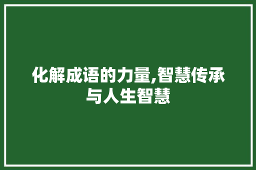 化解成语的力量,智慧传承与人生智慧