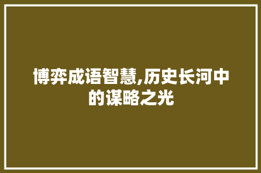 博弈成语智慧,历史长河中的谋略之光