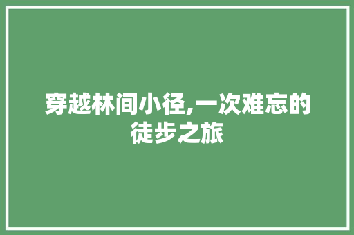 穿越林间小径,一次难忘的徒步之旅