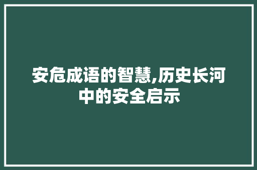 安危成语的智慧,历史长河中的安全启示